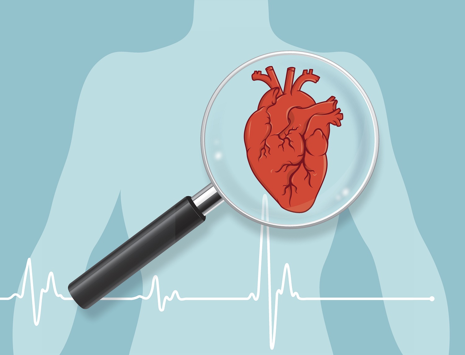 What Factors Increase Risk Of Heart Disease